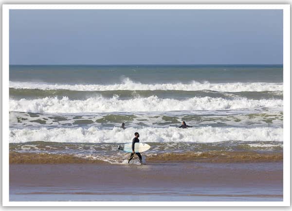 safi-surf