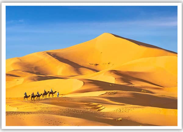 sahara