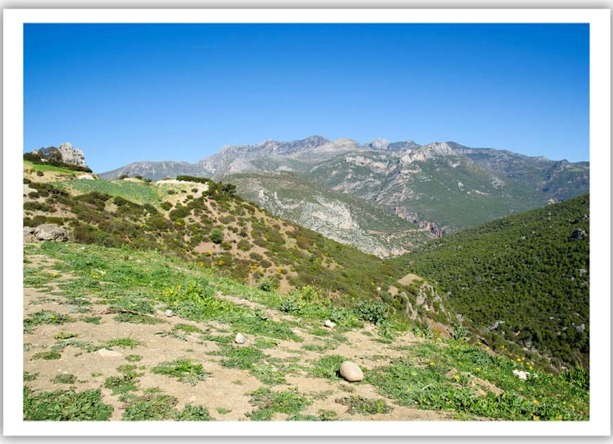 rif-mountage