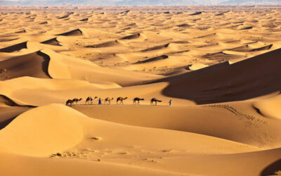 From Marrakech to Merzouga: The Perfect Road Trip Across Morocco