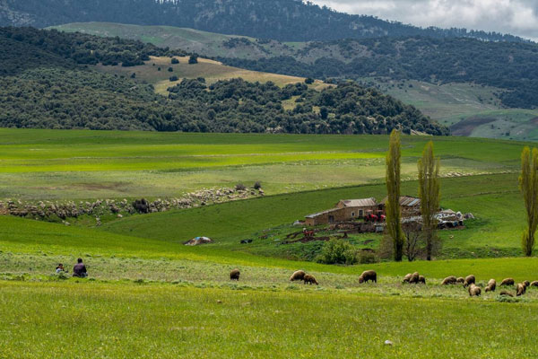 National parks in Morocco