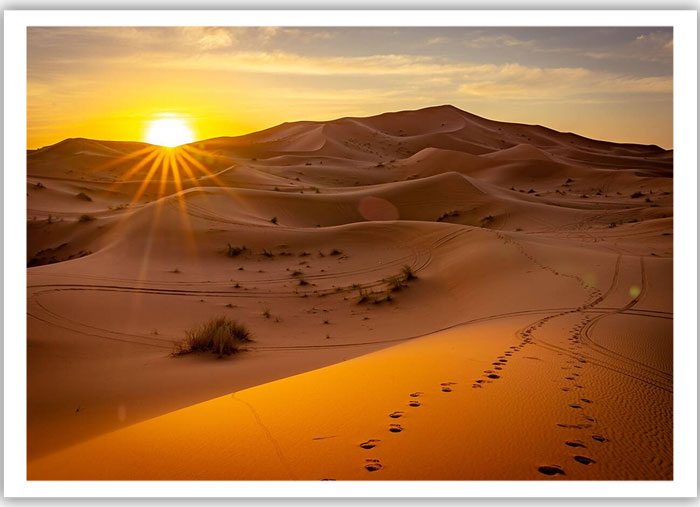 Sahara desert camp experience