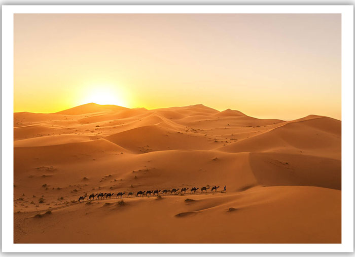 Sahara desert camp experience